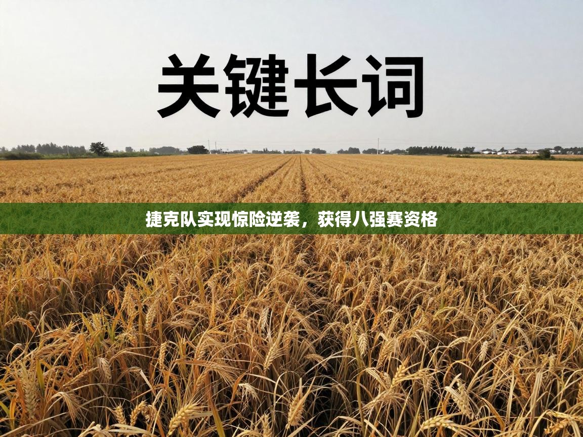 捷克队实现惊险逆袭,获得八强赛资格 第1张