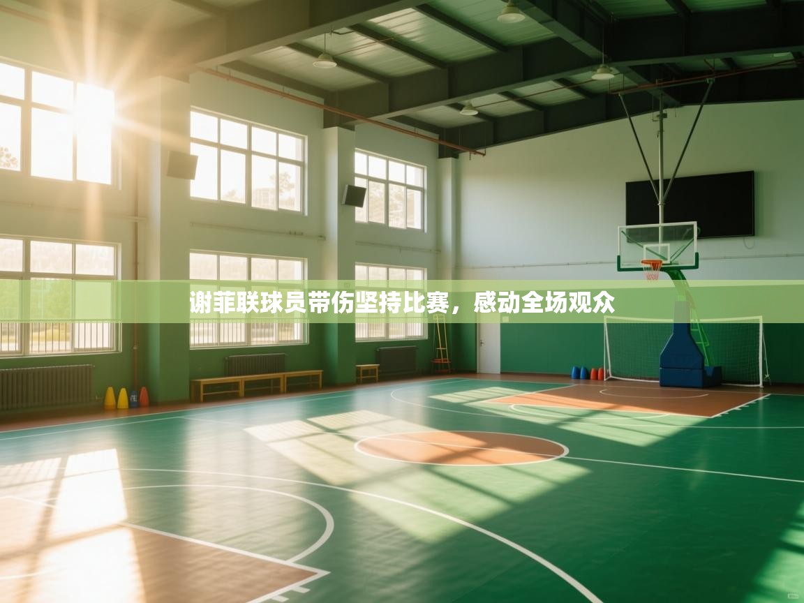 谢菲联球员带伤坚持比赛，感动全场观众  第1张