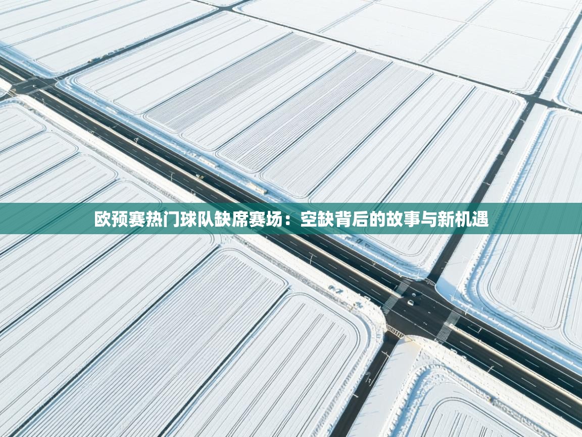 欧预赛热门球队缺席赛场：空缺背后的故事与新机遇  第2张
