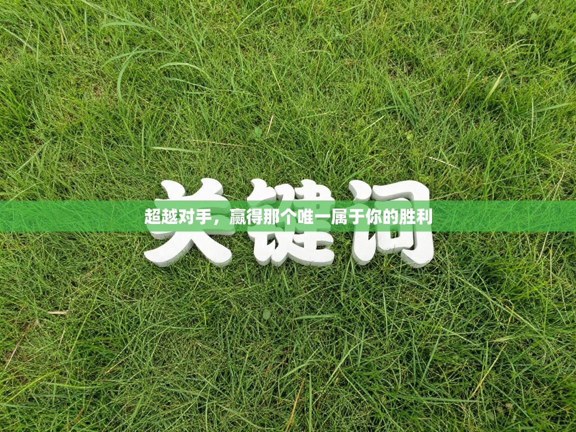 超越对手,赢得那个唯一属于你的胜利 第1张