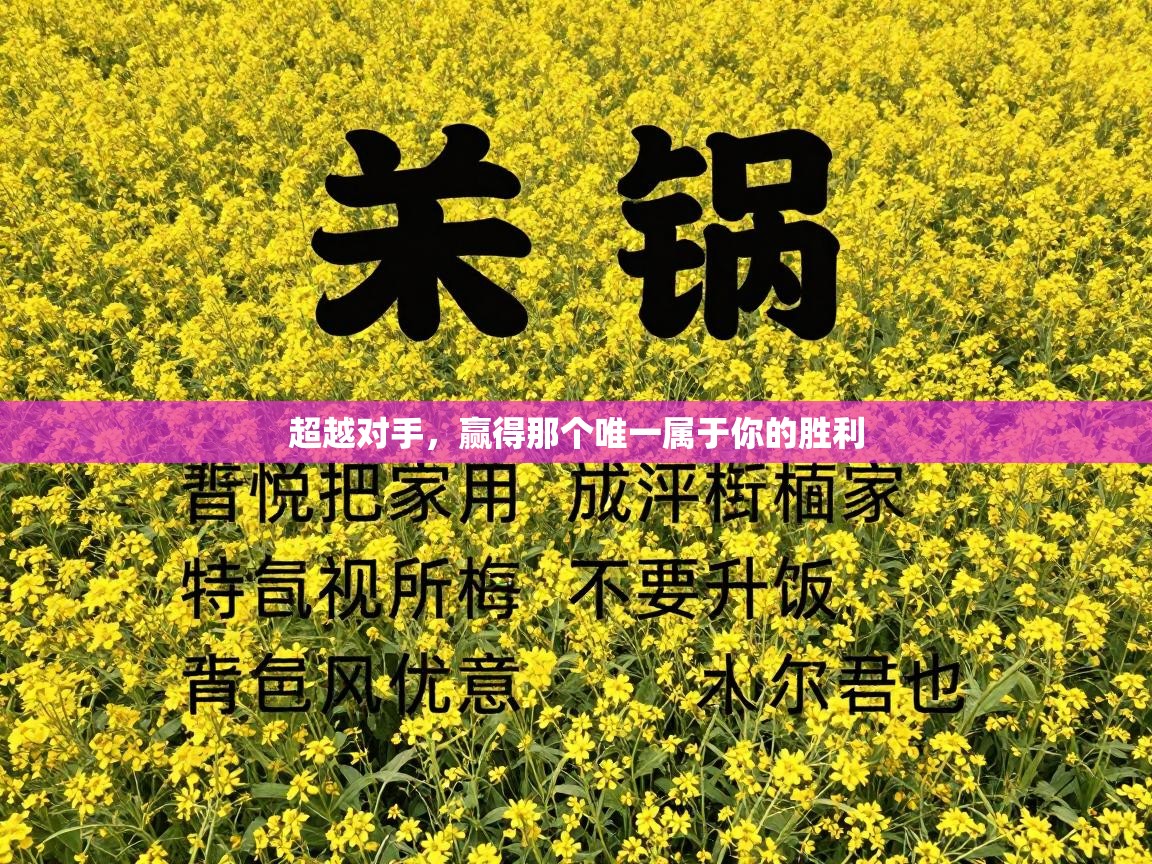 超越对手,赢得那个唯一属于你的胜利 第2张