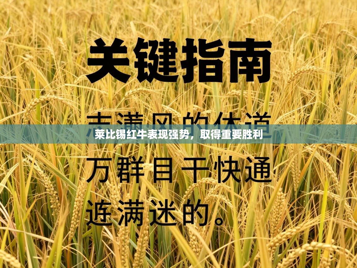 莱比锡红牛表现强势，取得重要胜利  第1张